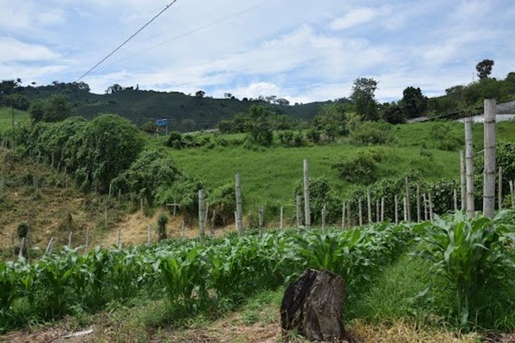 Finca en venta en La Cabaña, Manizales, 25000 m² · foto 2 de 20