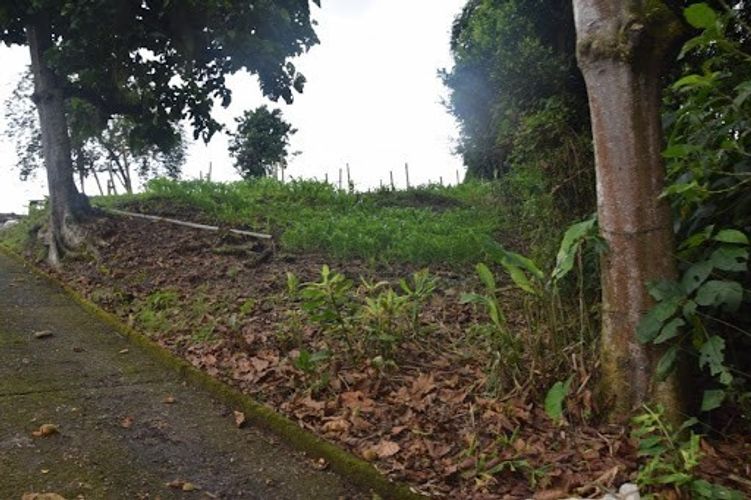 Finca en venta en La Cabaña, Manizales, 25000 m² · foto 9 de 20