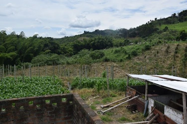 Finca en venta en La Cabaña, Manizales, 25000 m² · foto 12 de 20