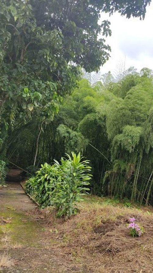 Finca en venta en La Cabaña, Manizales, 25000 m² · foto 13 de 20