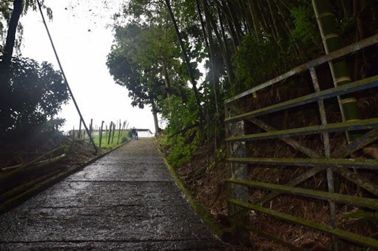 Finca en venta en La Cabaña, Manizales, 25000 m² · foto 14 de 20