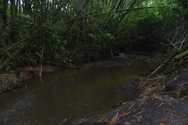 Finca en venta en La Cabaña, Manizales, 25000 m² · foto 17 de 20
