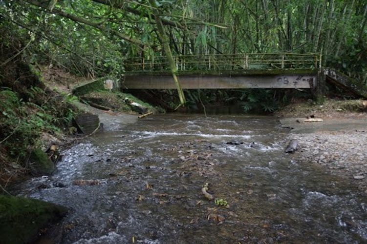 Finca en venta en La Cabaña, Manizales, 25000 m² · foto 19 de 20
