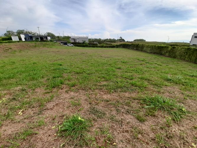 Lote en venta en Cerritos, Pereira, 1515 m² · foto 8 de 16