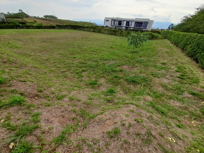 Lote en venta en Cerritos, Pereira, 1515 m² · foto 10 de 16