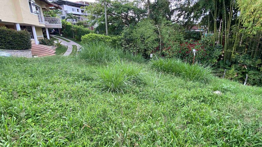 Lote en venta en Alta Pradera I Y Ii, Dosquebradas, 440 m² · foto 2 de 18