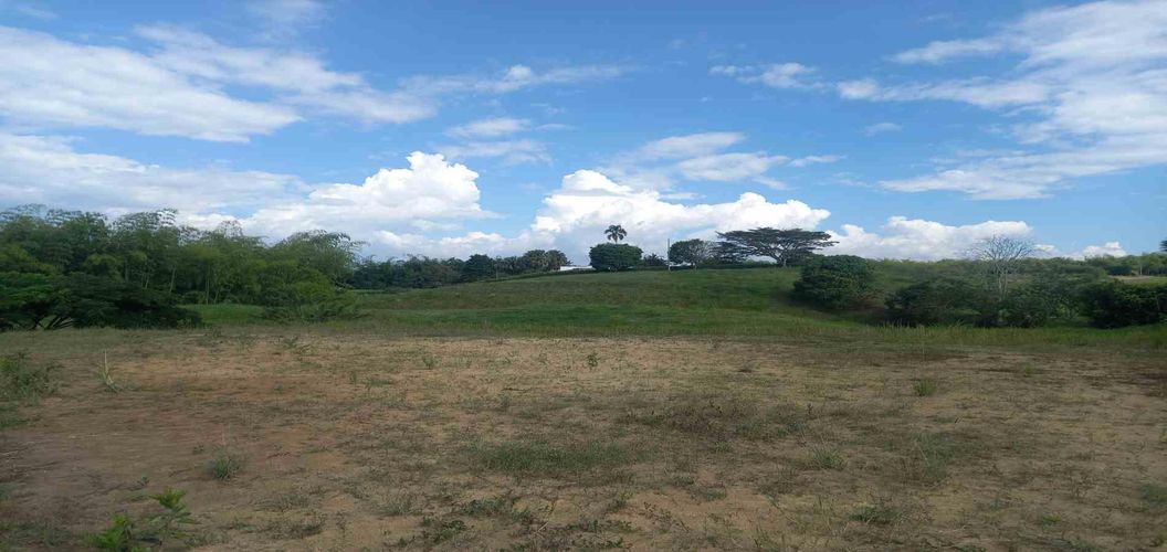 Lote en venta en Cerritos, Pereira · foto 2 de 12