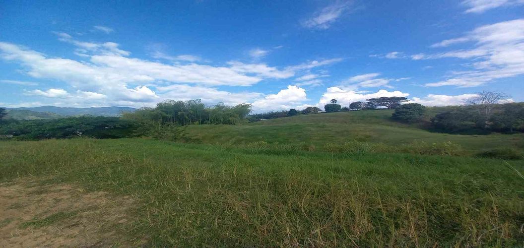 Lote en venta en Cerritos, Pereira · foto 5 de 12