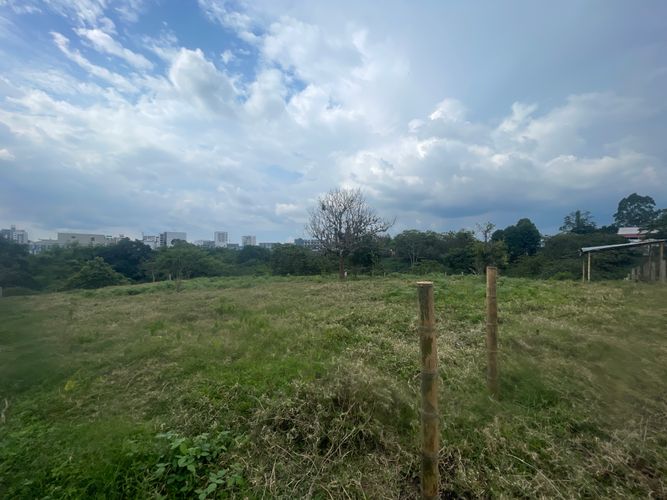 Lote en venta en Avenida Centenario, Armenia · foto 9 de 17