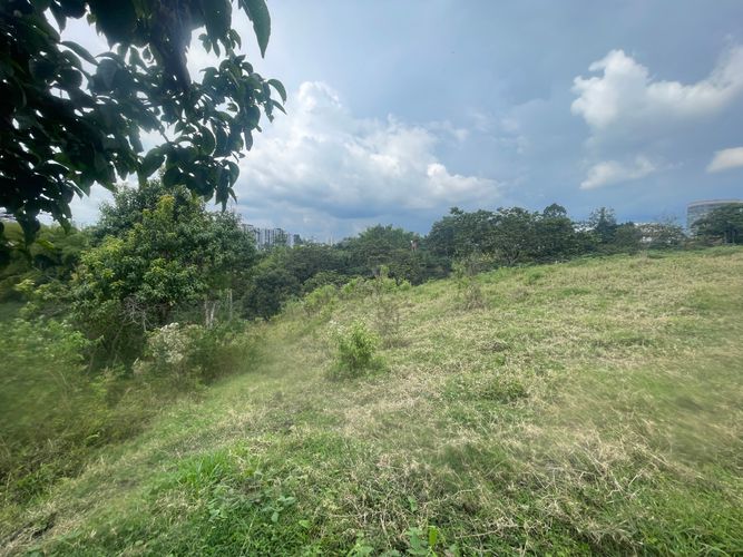 Lote en venta en Avenida Centenario, Armenia · foto 12 de 17