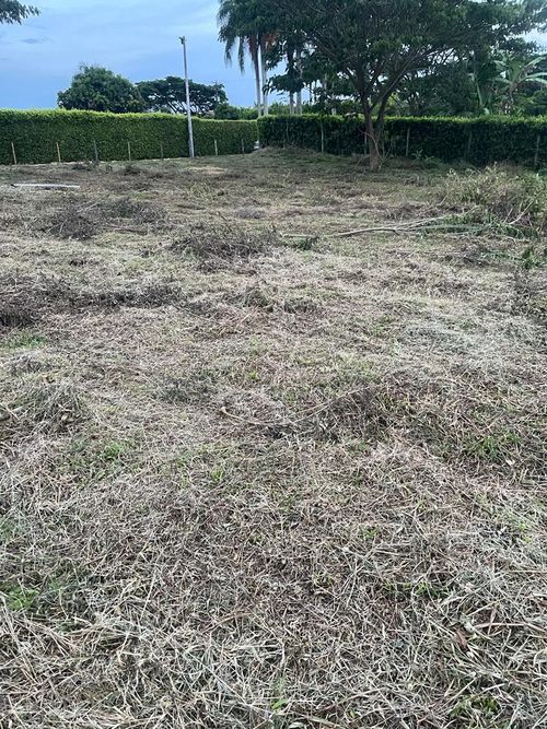 Lote en venta en Cerritos, Pereira · foto 6 de 6