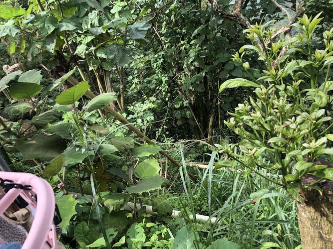 Lote en venta en San Antonio, Manizales, 1050 m² · foto 18 de 24