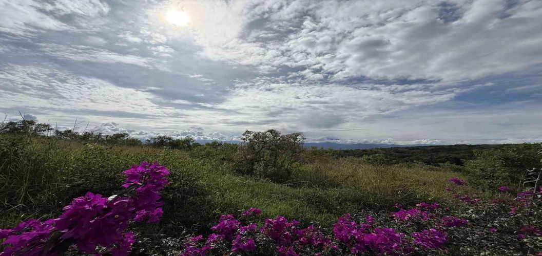 Lote en venta en Cerritos, Pereira · foto 4 de 21