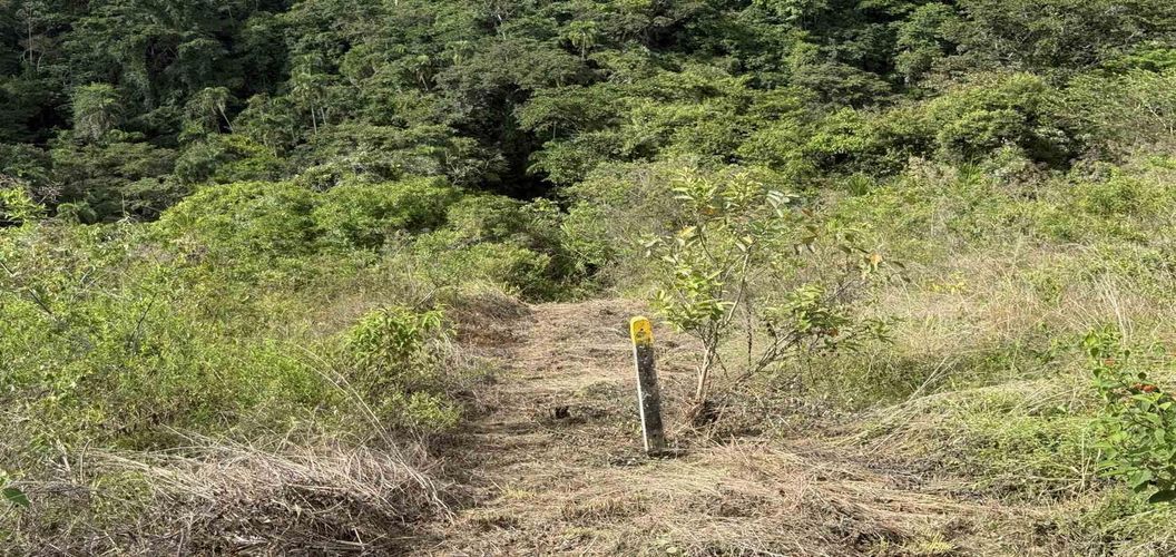 Lote en venta en Cerritos, Pereira · foto 16 de 21
