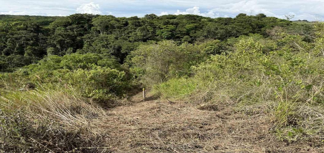 Lote en venta en Cerritos, Pereira · foto 18 de 21