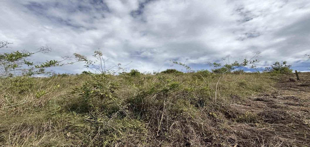 Lote en venta en Cerritos, Pereira · foto 20 de 21