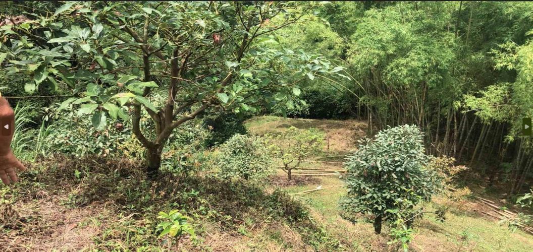 Lote en venta en El Rodeo, Dosquebradas, 200 m² · foto 4 de 8