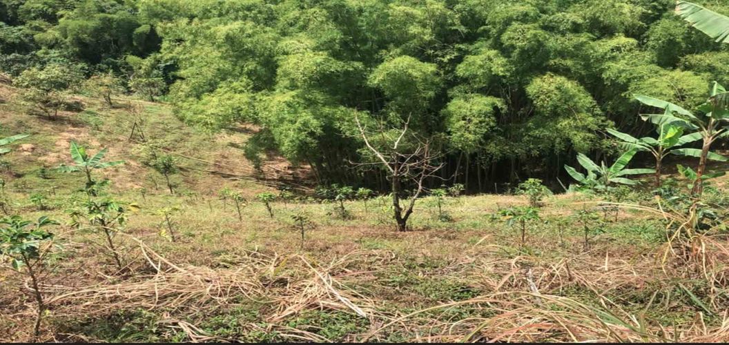 Lote en venta en El Rodeo, Dosquebradas, 200 m² · foto 8 de 8