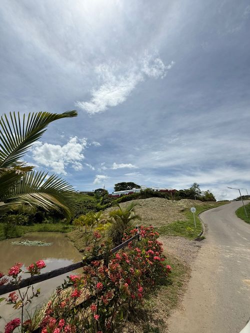 Lote en venta en Cerritos, Pereira · foto 4 de 24