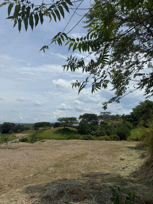 Lote en venta en Cerritos, Pereira · foto 5 de 24