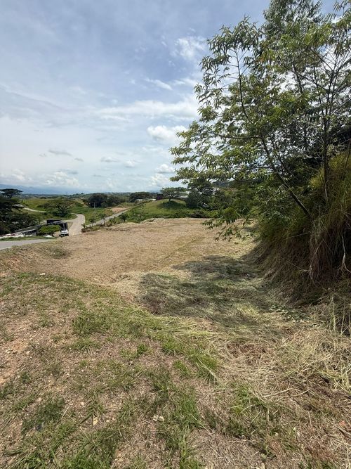 Lote en venta en Cerritos, Pereira · foto 19 de 24
