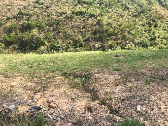 Lote en venta en Cerritos, Pereira, 1508 m² · foto 2 de 20