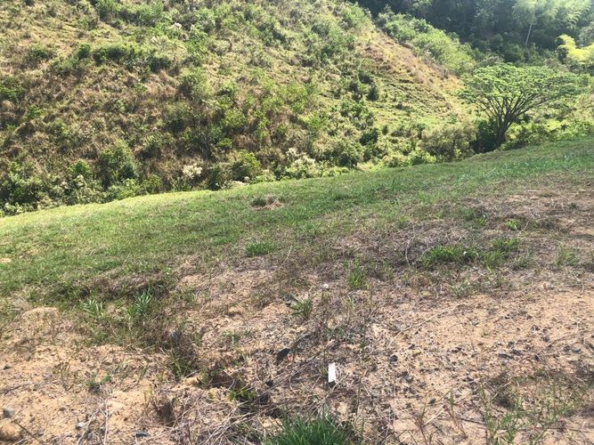 Lote en venta en Cerritos, Pereira, 1508 m² · foto 3 de 20