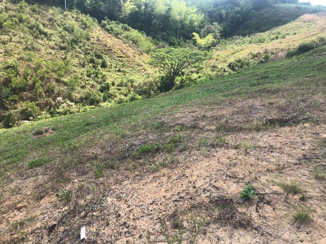 Lote en venta en Cerritos, Pereira, 1508 m² · foto 4 de 20