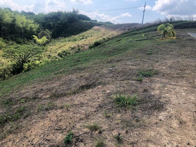 Lote en venta en Cerritos, Pereira, 1508 m² · foto 5 de 20