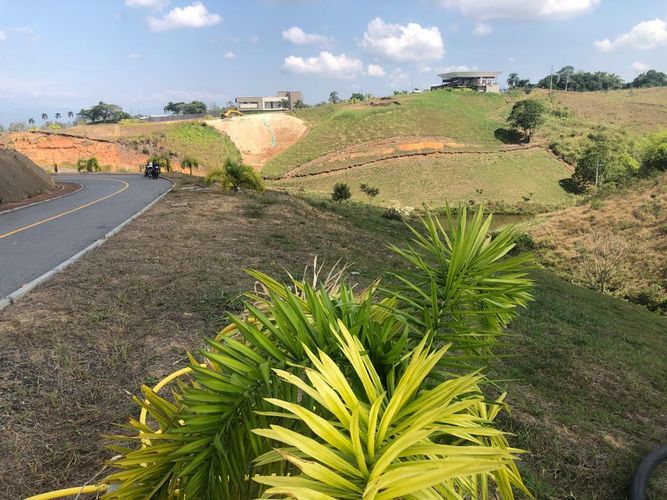 Lote en venta en Cerritos, Pereira, 1508 m² · foto 12 de 20