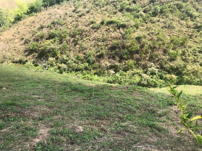 Lote en venta en Cerritos, Pereira, 1508 m² · foto 16 de 20