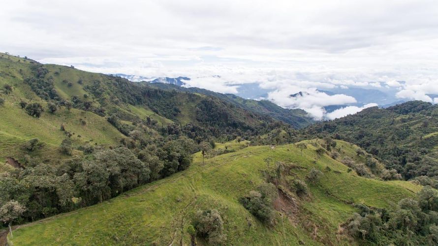 Finca en venta en Pueblo Viejo, Manizales, 234 m² · foto 6 de 8