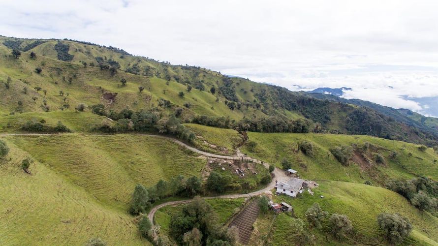 Finca en venta en Pueblo Viejo, Manizales, 234 m² · foto 7 de 8
