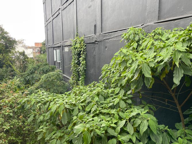 Lote en venta en Galan, Armenia · foto 9 de 13