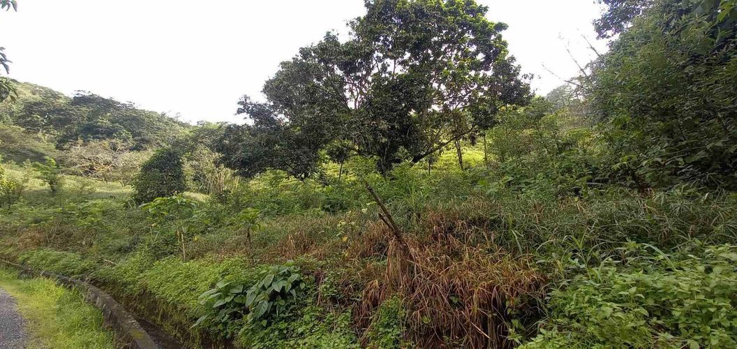 Lote en venta en La Trinidad, Manizales · foto 5 de 20