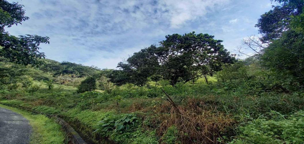 Lote en venta en La Trinidad, Manizales · foto 6 de 20
