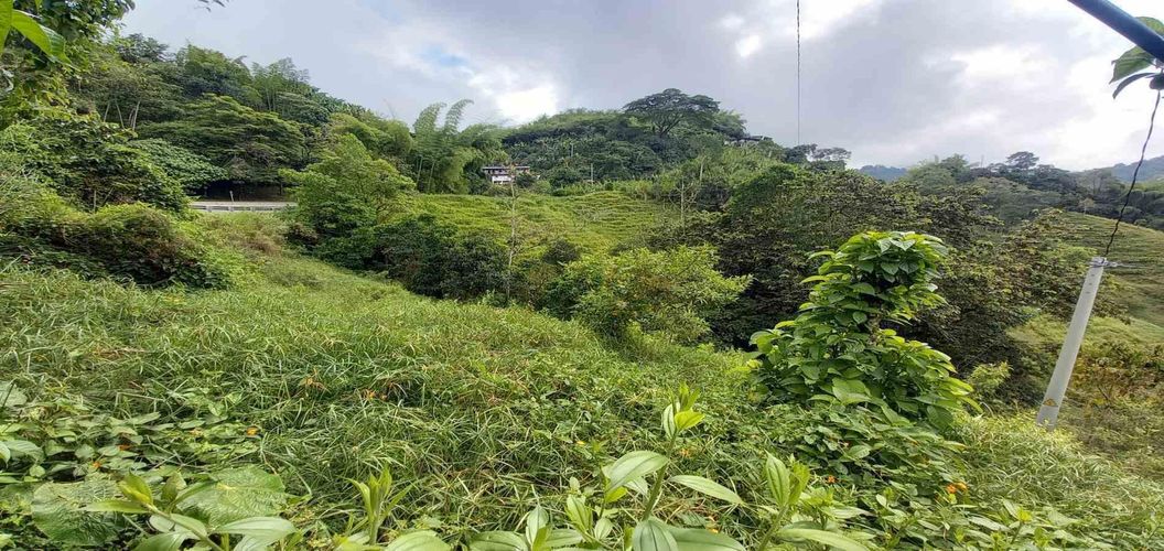 Lote en venta en La Trinidad, Manizales · foto 7 de 20