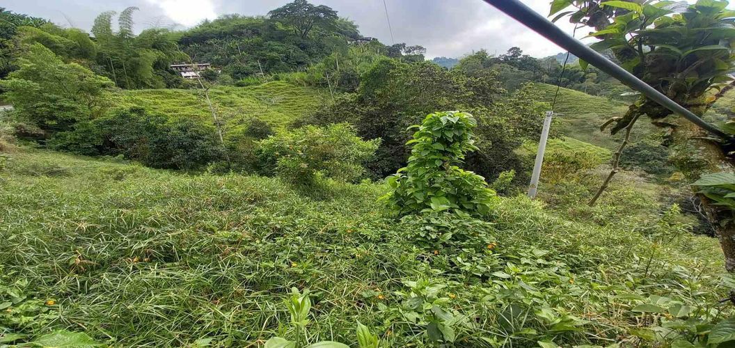 Lote en venta en La Trinidad, Manizales · foto 8 de 20