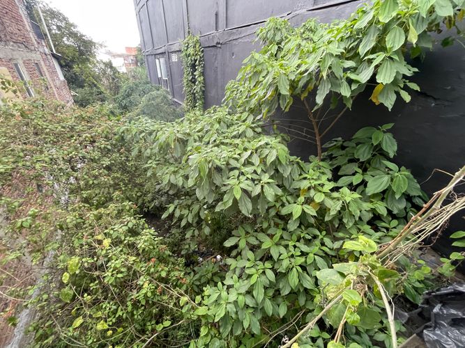 Lote en venta en Galan, Armenia · foto 13 de 13