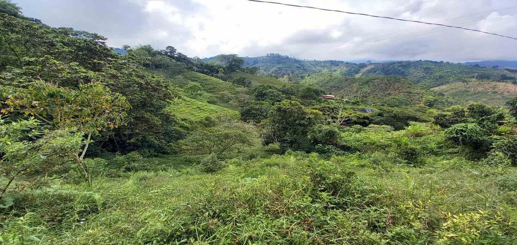 Lote en venta en La Trinidad, Manizales · foto 9 de 20
