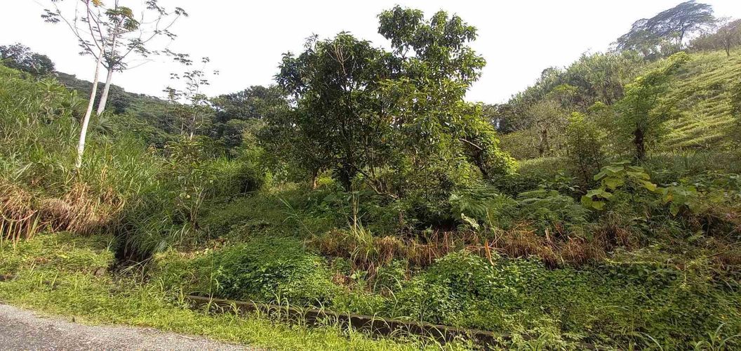 Lote en venta en La Trinidad, Manizales · foto 10 de 20