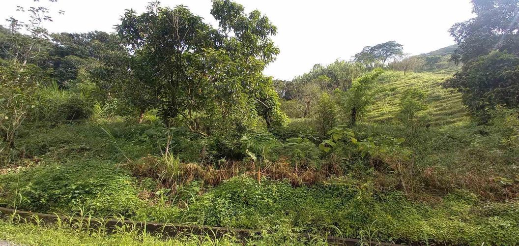 Lote en venta en La Trinidad, Manizales · foto 11 de 20