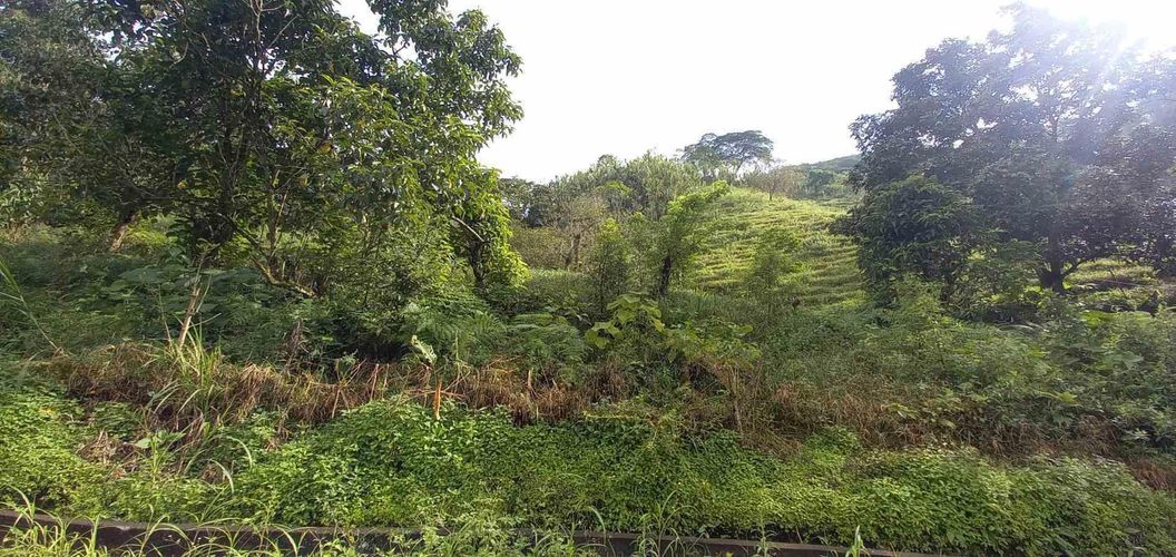 Lote en venta en La Trinidad, Manizales · foto 12 de 20