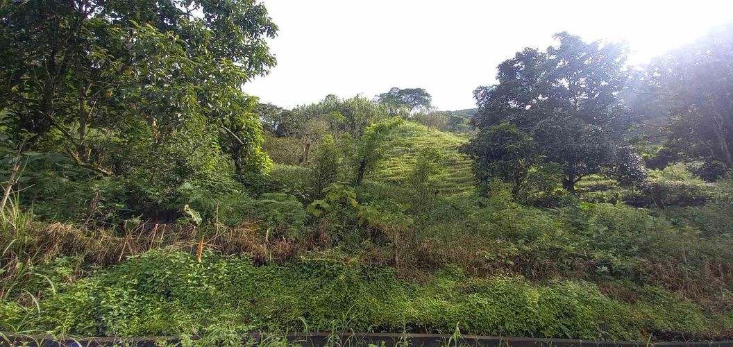 Lote en venta en La Trinidad, Manizales · foto 13 de 20