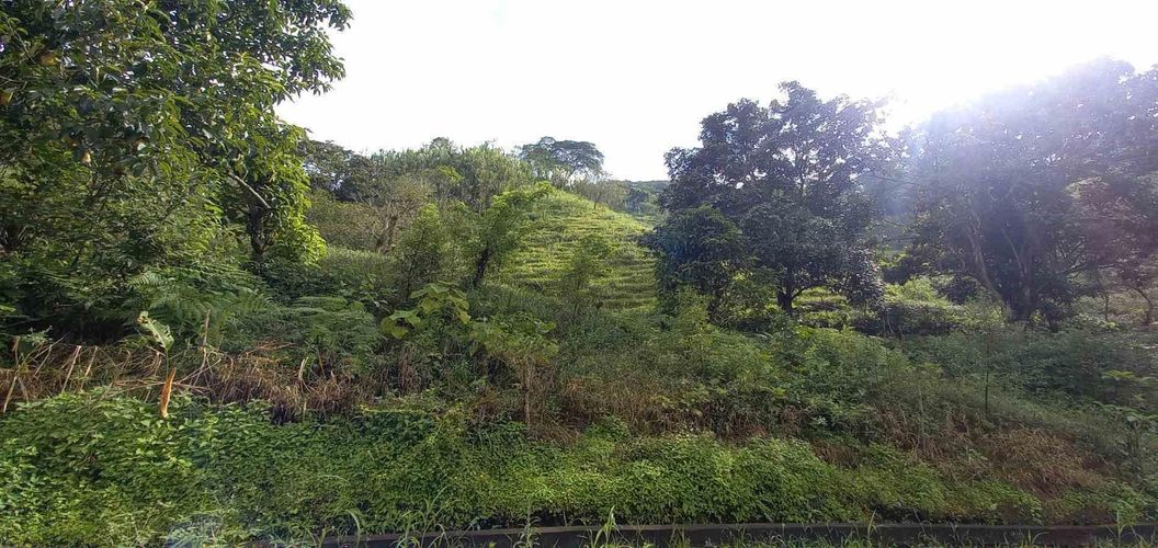Lote en venta en La Trinidad, Manizales · foto 14 de 20