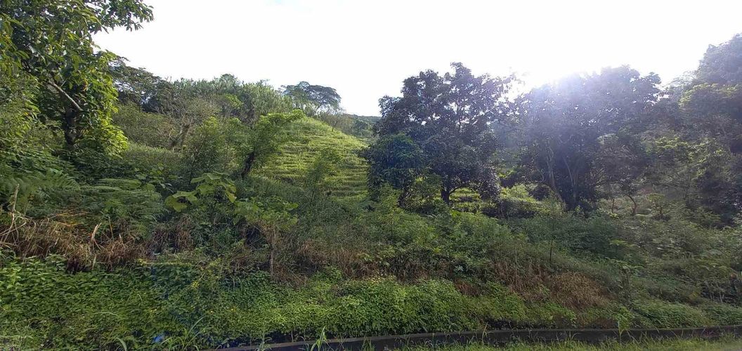 Lote en venta en La Trinidad, Manizales · foto 15 de 20