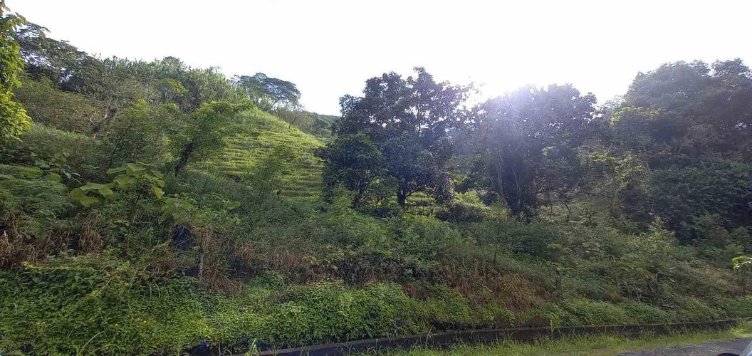 Lote en venta en La Trinidad, Manizales · foto 16 de 20