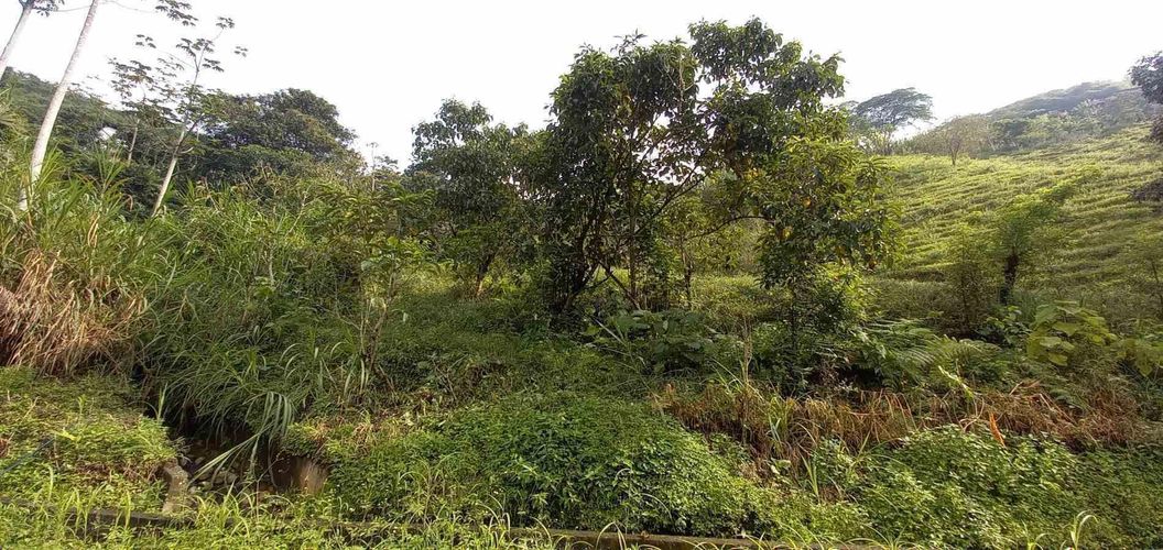 Lote en venta en La Trinidad, Manizales · foto 17 de 20