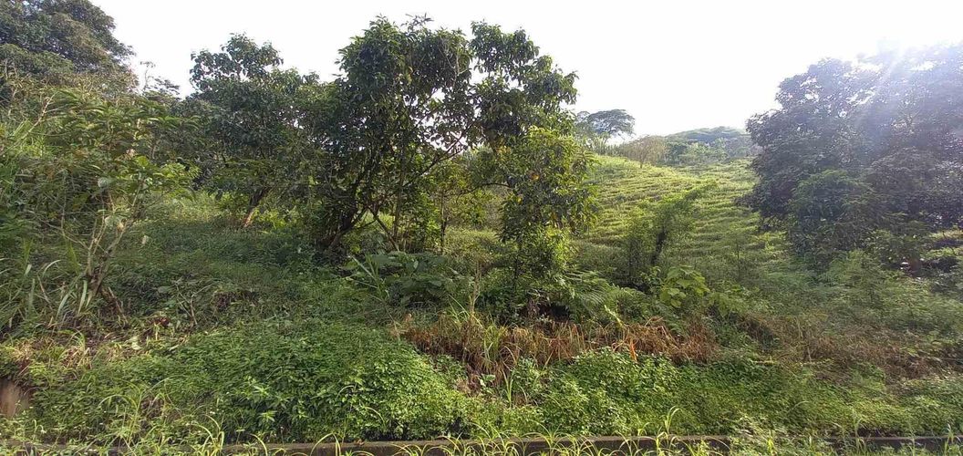 Lote en venta en La Trinidad, Manizales · foto 18 de 20