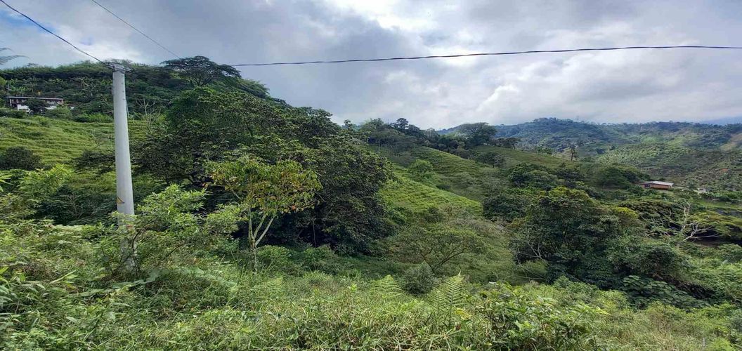 Lote en venta en La Trinidad, Manizales · foto 19 de 20